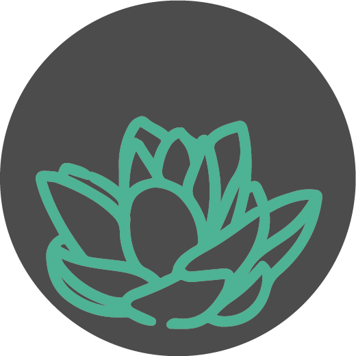 makao_icon